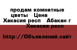 продам комнатные цветы › Цена ­ 220 - Хакасия респ., Абакан г.  »    . Хакасия респ.